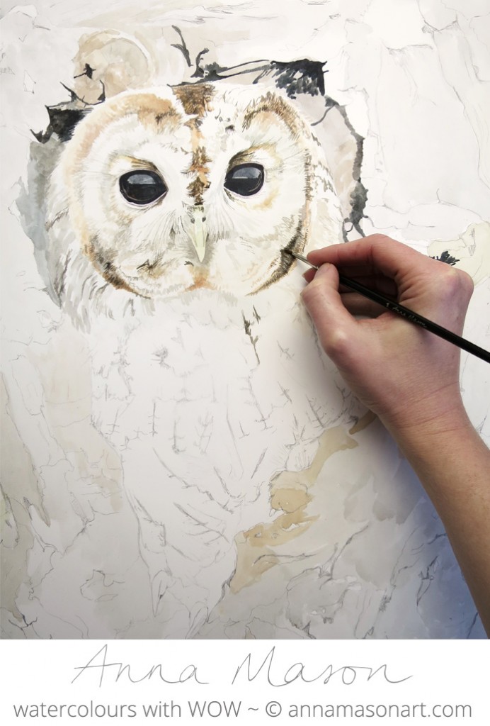 Making progress with the Tawny Owl now