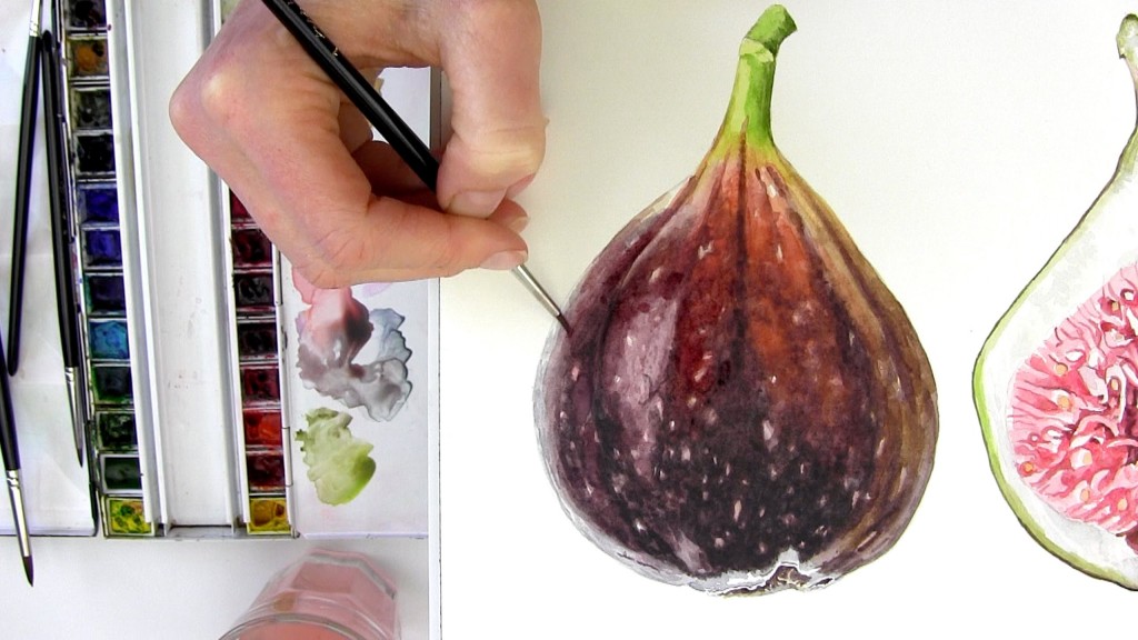How to paint round velvety figs